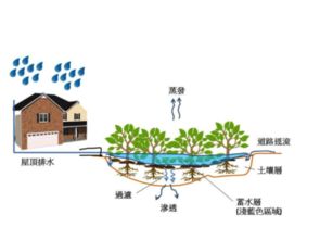 技術開發(fā) 從概念到實踐